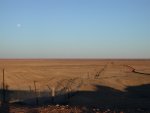 Coober Pedy - The Dog Fence
