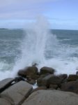 Granite Island bei Victor Harbor