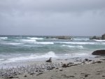 Kangaroo Island - Seal Bay