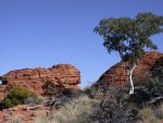 Kings Canyon