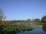 Kakadu NP - Yellow Waters