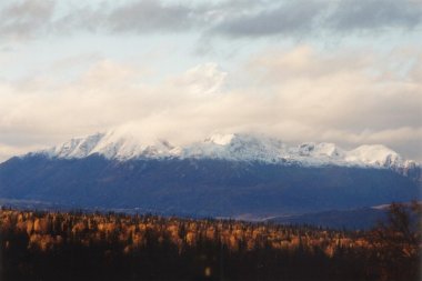 Mt. McKinley